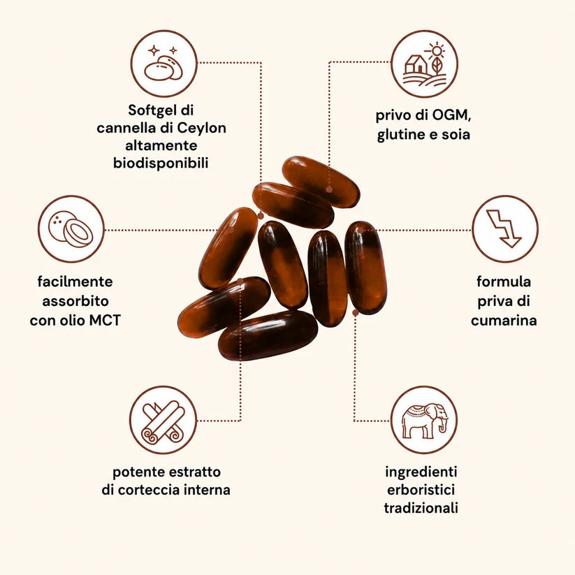 Cannella di Ceylon equivalente a 7200mg con Olio MCT